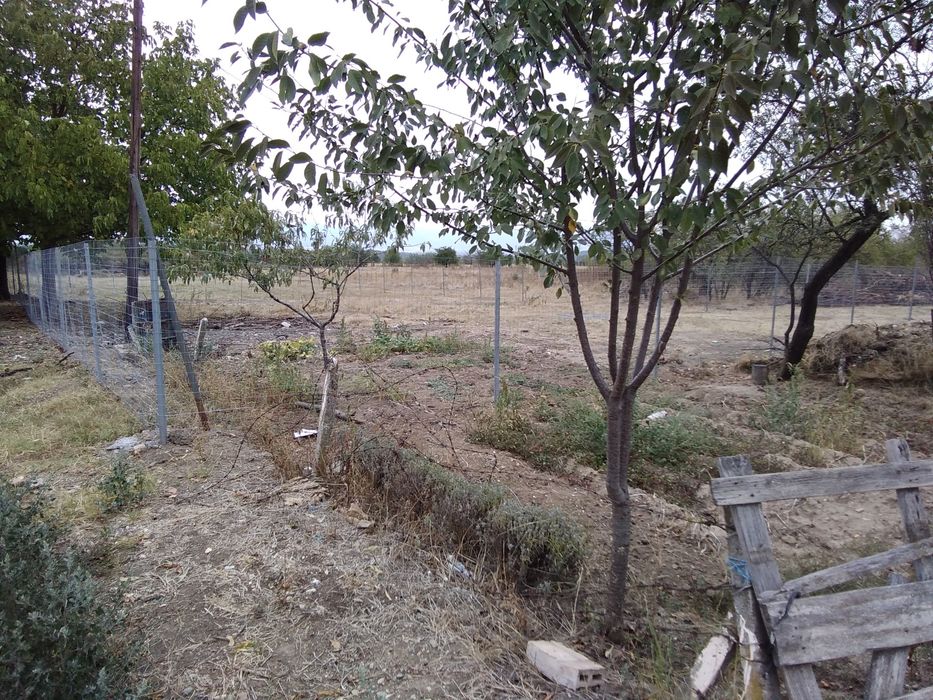 Продава се Парцел в Павел баня - 600 кв.м за 100 €/кв.м - Снимка #7