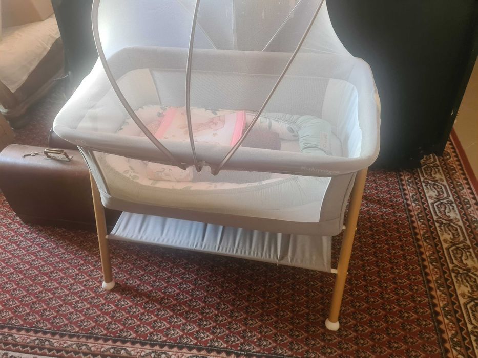 patut bebe  cu acoperitor de muste tintari si saltea