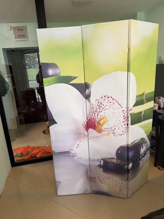 Параван като нов