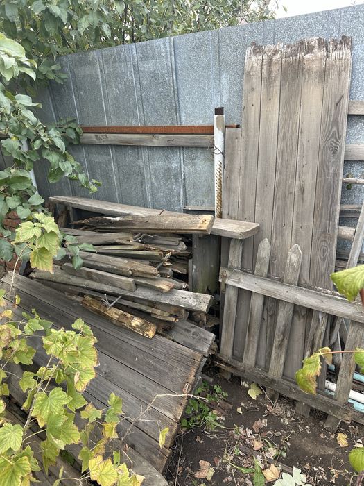 Дрова отдам даром