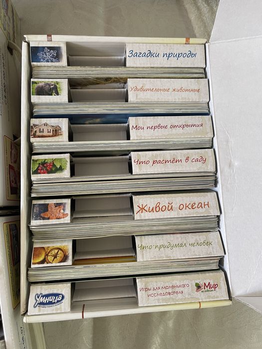 Мир на ладошке