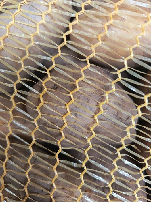 Cartofii albi proaspeți de Brașov