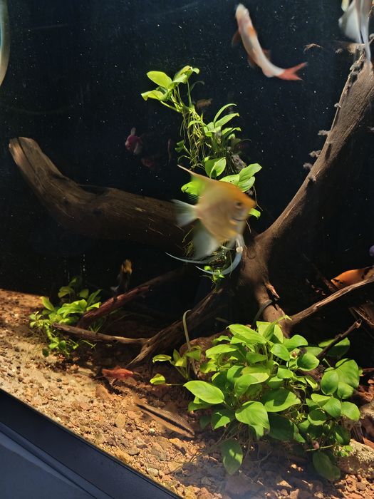 Аквариум в сборе