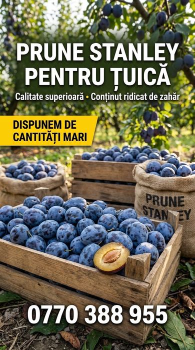 Prune țuica,  transport gratuit!!