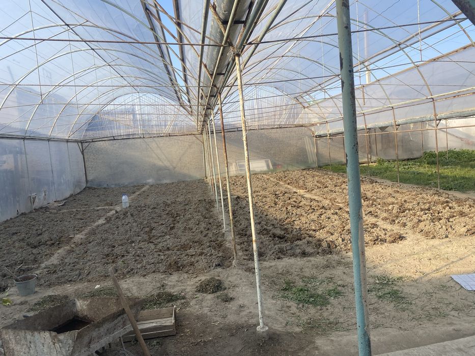 Парник иссик хона сотилади тез ва арзон 6 сотих