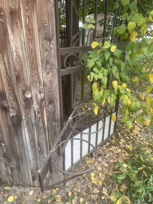 Вальер для собаки