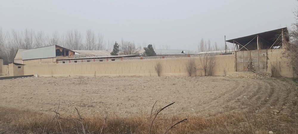 Yer 10 sotik sotiladi