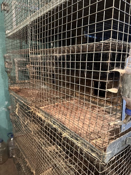 Продам клетки для животных