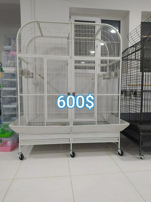 Qafas Kletkalar kotta qushlar uchun