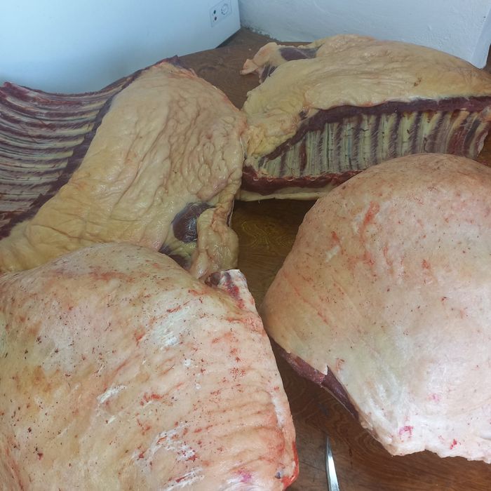 Жылкы еті сатам.с степи