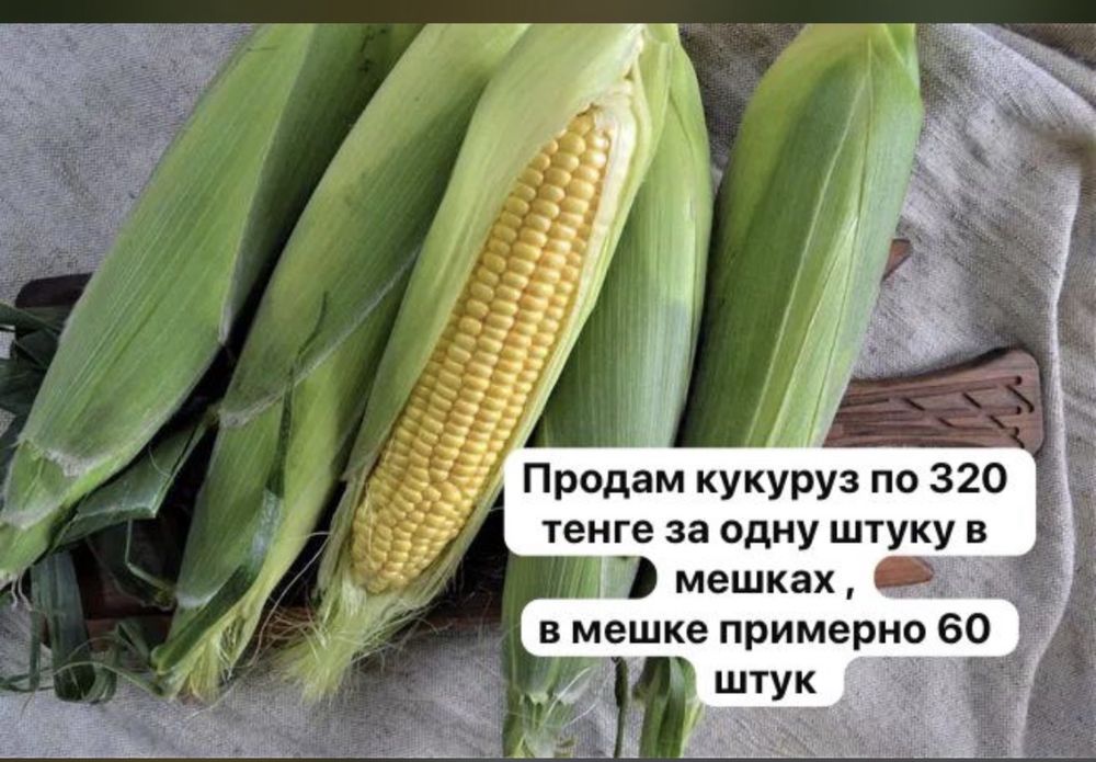 Продам Кукурузу для варки