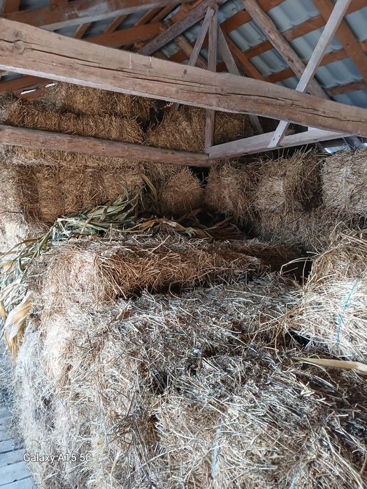 Vând baloți de lucernă și fân.