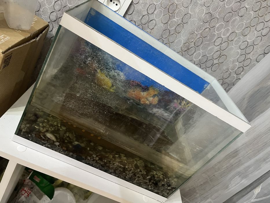 продам аквариум около 20 литров