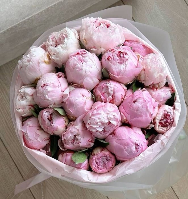 Цветы,букеты пионов,на праздник