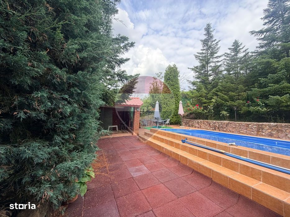 Leamna de sus, casa cu piscina, 2000mp