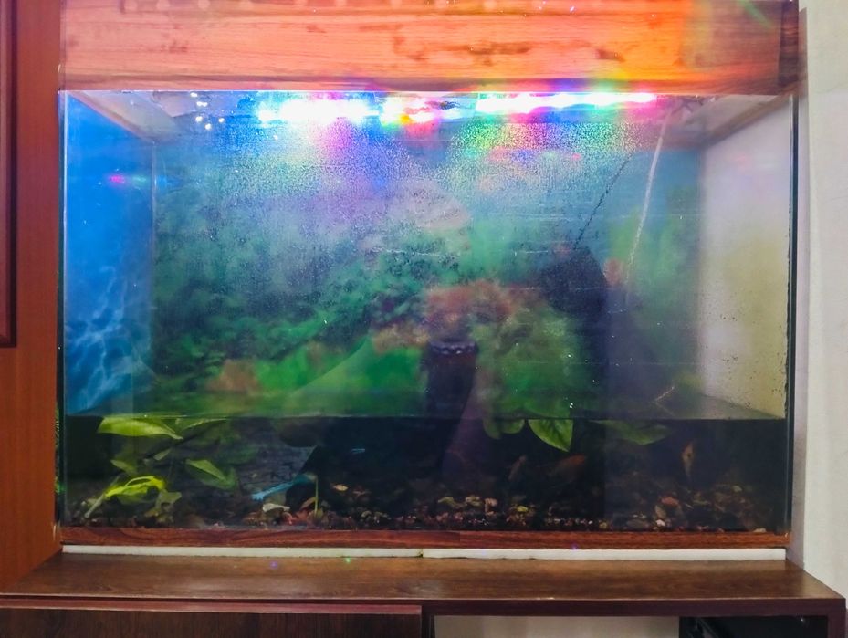 Продам аквариум с рыбками