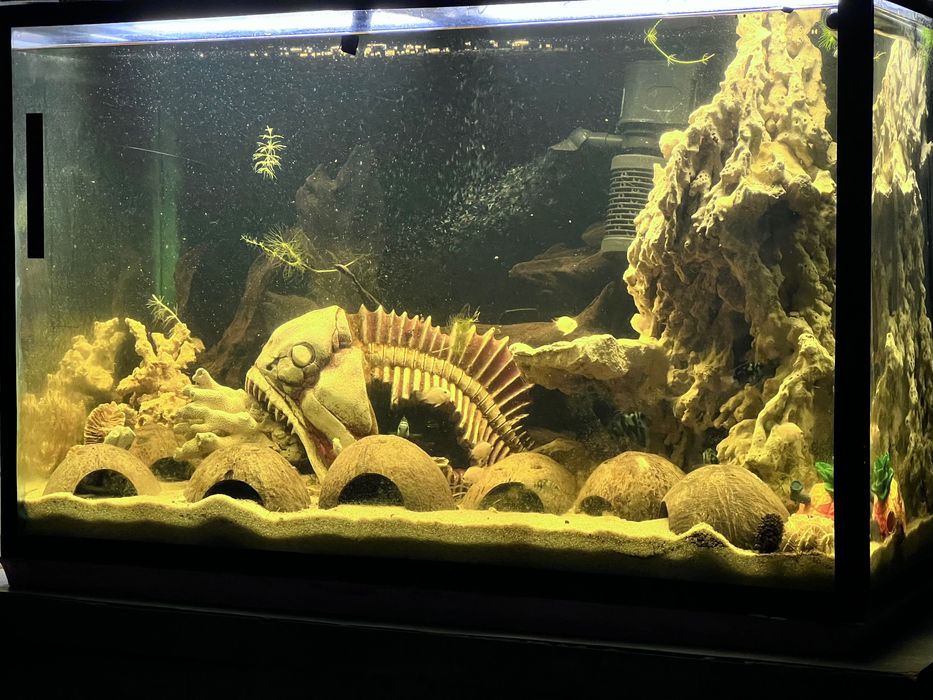 Продам аквариум 160л