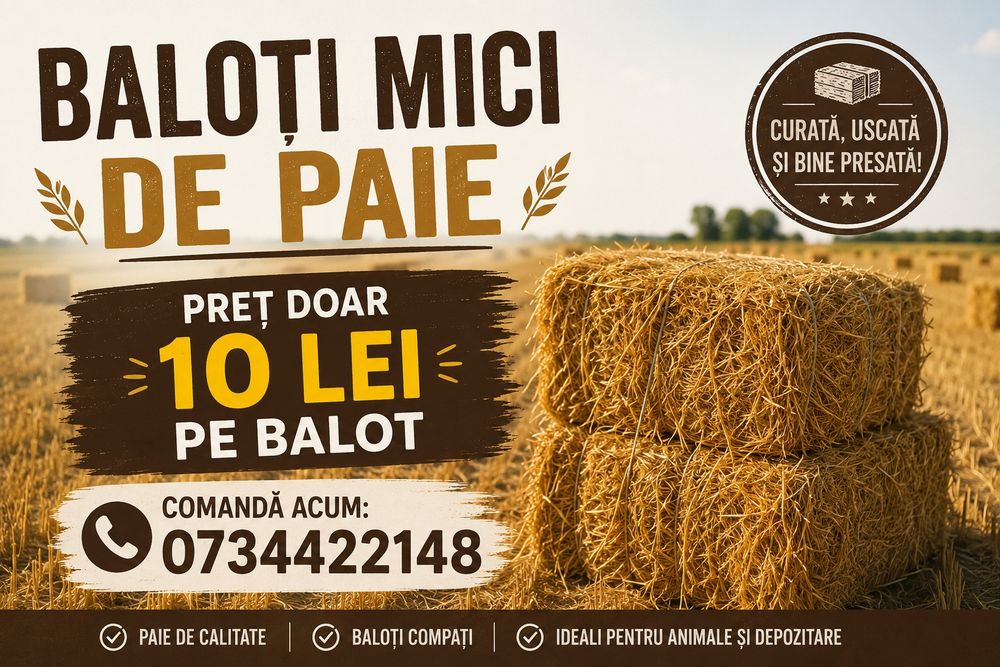 Vând baloti de paie de grâu