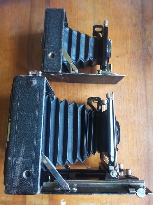 Aparate foto cu burduf - cadoul perfect pentru cei dragi