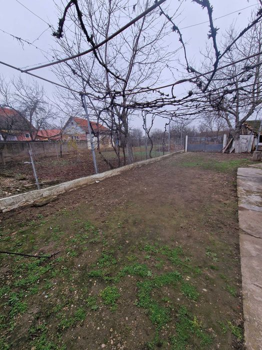 Casa de vanzare  - sat Taut, Bihor