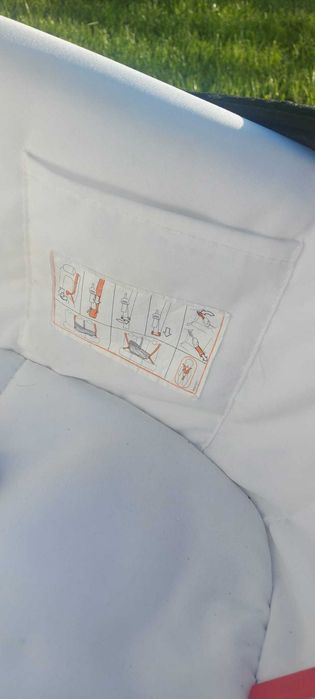 Landou auto nou-nascuți