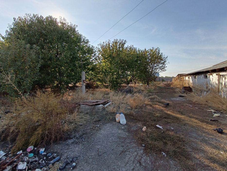 40 соток  (Янги Тошкент)