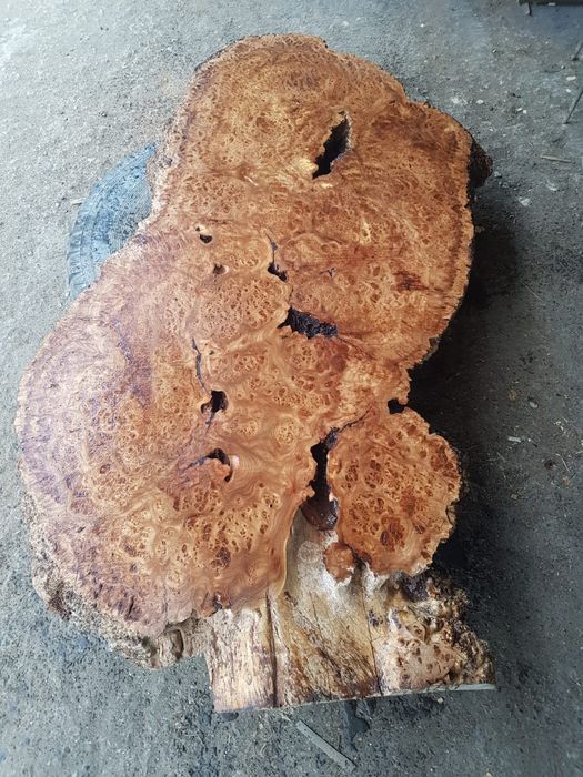 Карагач слэбы больших размеров