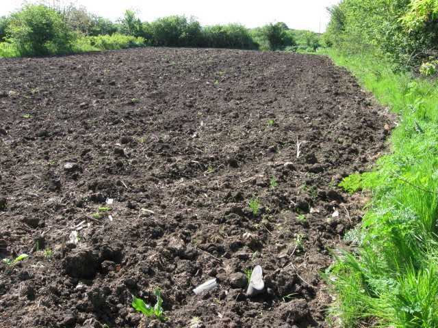 Продава се Парцел в с. Безводица, Област Добрич - 3152 кв.м за 3 €/кв.м - Снимка #2