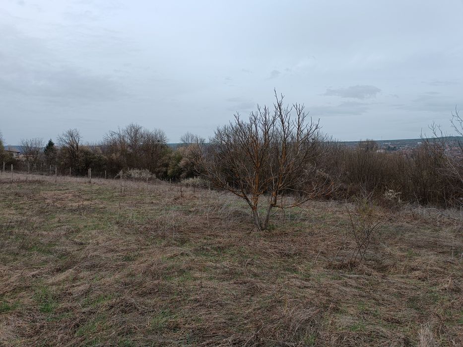 Парцел в с. Шемшево