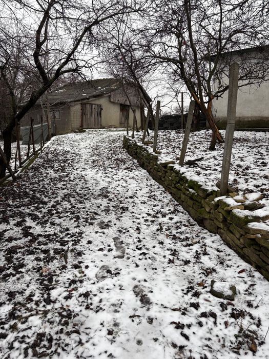 Teren  Deleni, Hârlau, Iasi 5000 mp