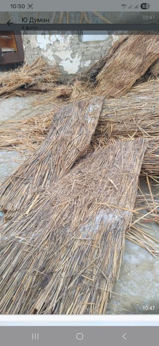 Қамыс тегін Қызылорда улица Гагарин