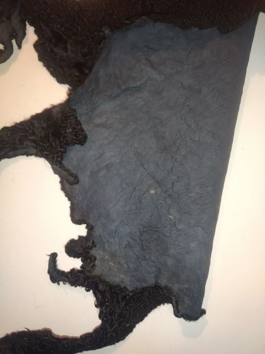 Каракуль черный.