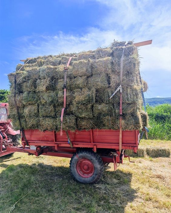 Baloți lucernă trifoi iarbă fan