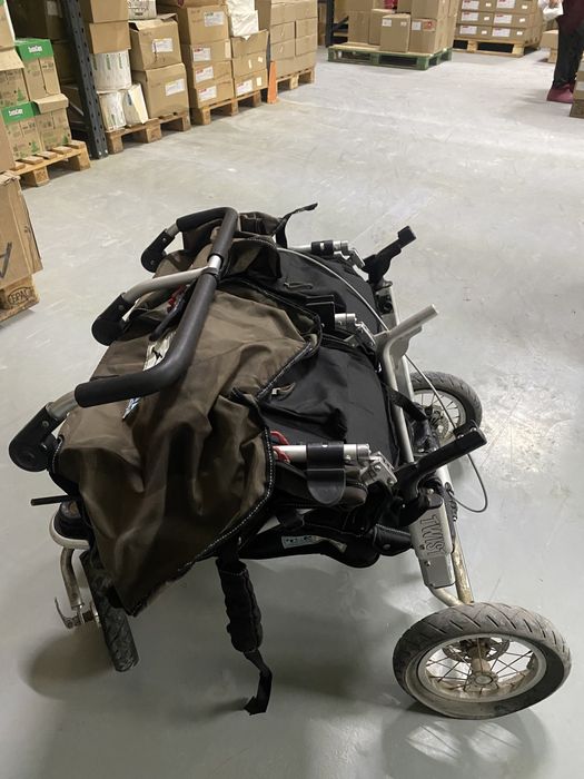 Коляска для двойни