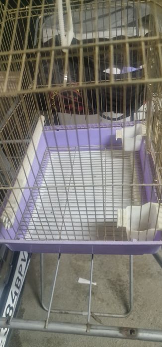 Клетка для попугаев и канареек