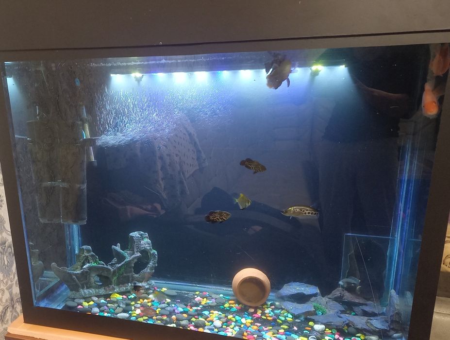 Продаётся аквариум 500 литровый