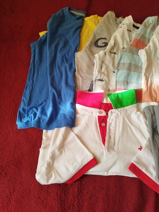 13 броя тениски и 3 блузки с къс ръкав