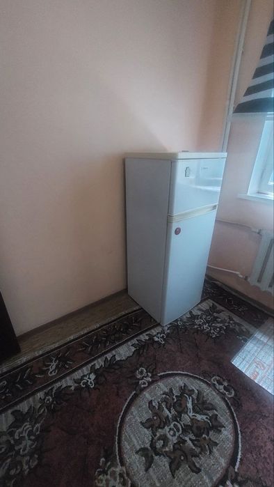 Тезда 11 палекиникада ижарага берилади