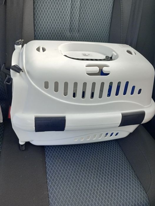 За  кучета и котки