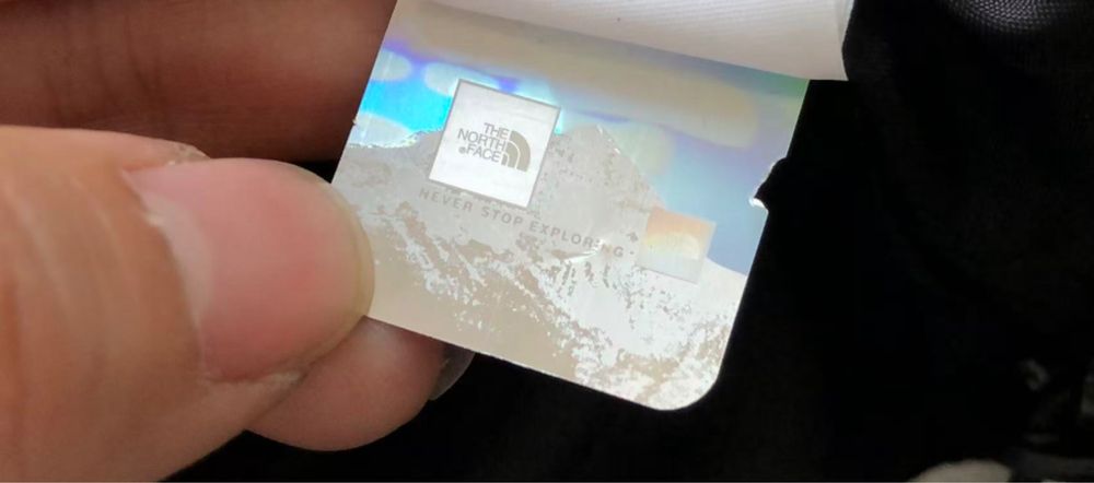 Geaca  schi The North Face