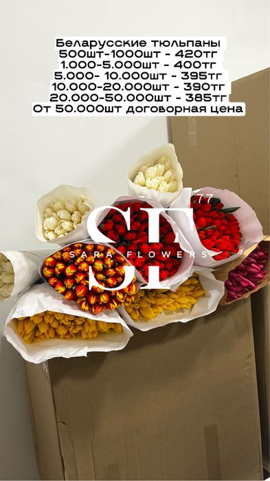 Тюльпаны оптом Алматы