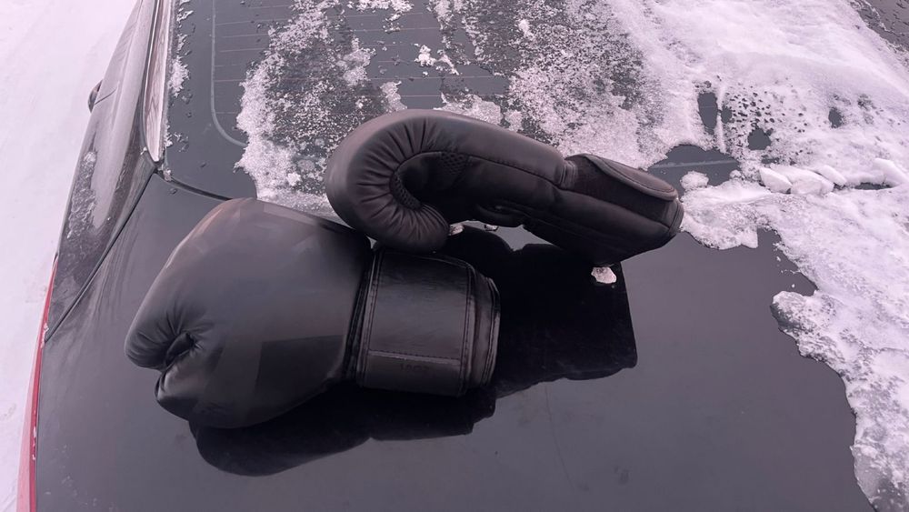 Перчатка боксерские