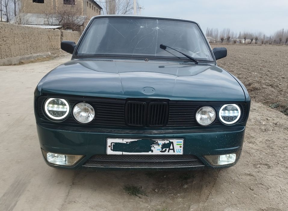BMW E 528.  100 tali  metan