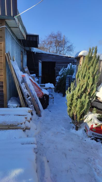 Продам магазин в Мамлютке