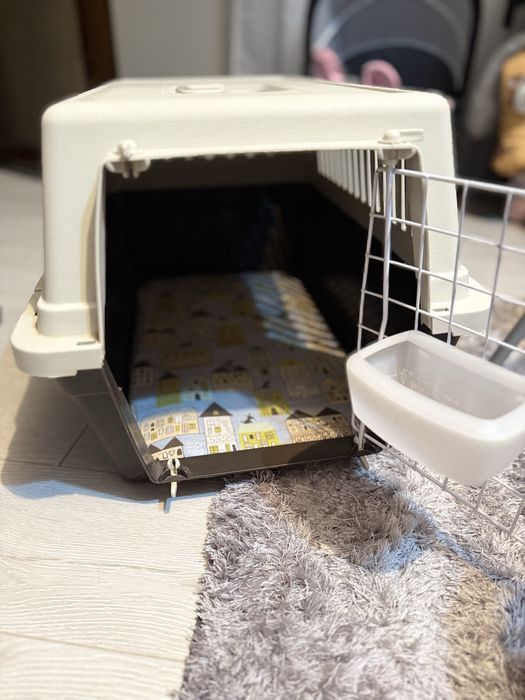 Vand cusca transport caine  mica