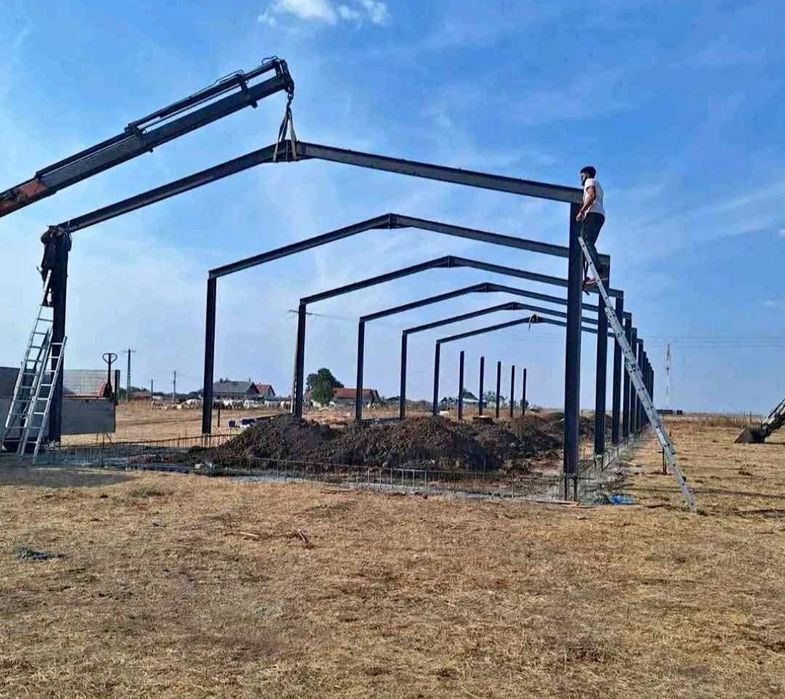 Vand structura metalica 10x20x3,9h