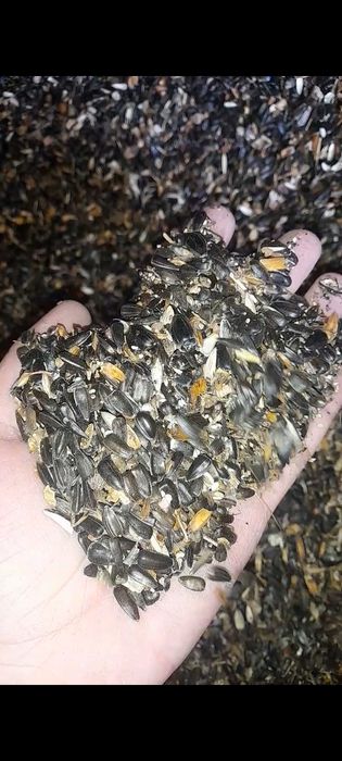 Продам отходы семечек