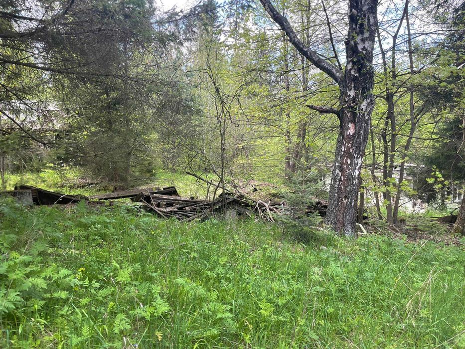 Продава се Парцел в Копривщица - 5551 кв.м за 55 €/кв.м - Снимка #16