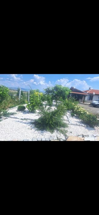 Доставки Снежно бял чакъл за украси и декораци на градинки дворни площ