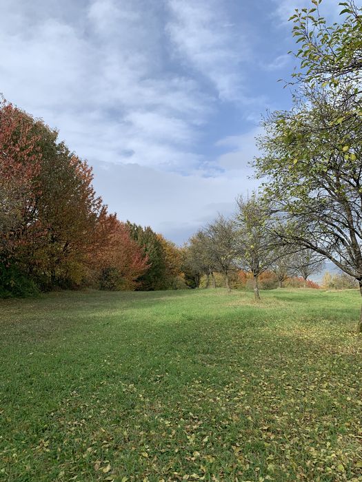 Teren 60 ari - in Cetatele, comuna Șișești, jud. Maramures